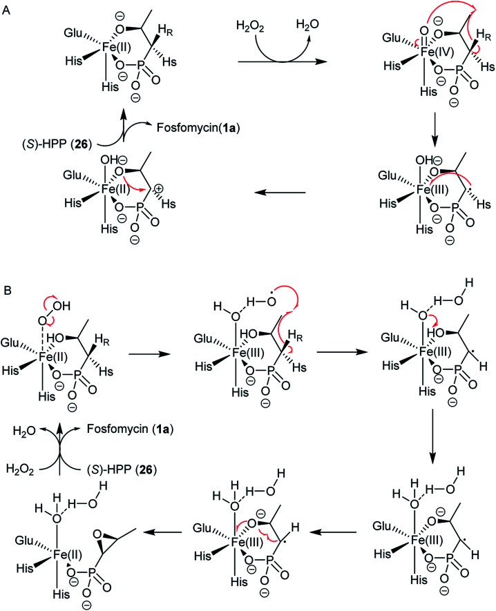 Fig. 8