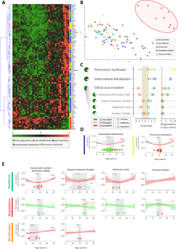 Figure 4 -