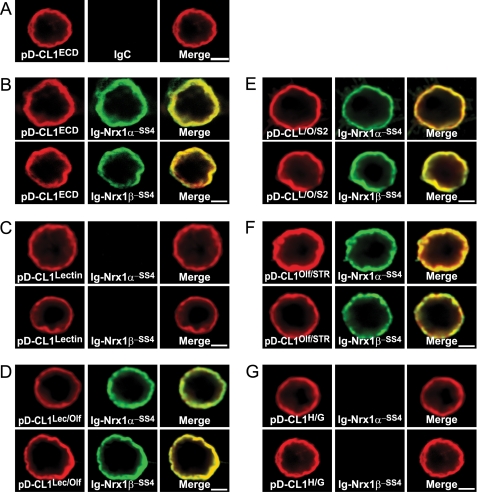 FIGURE 10.