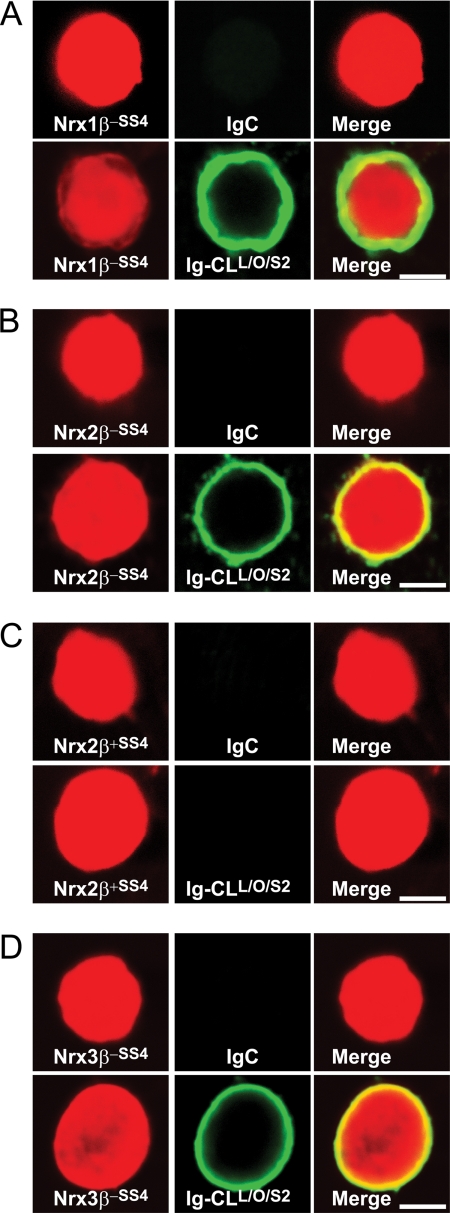 FIGURE 11.