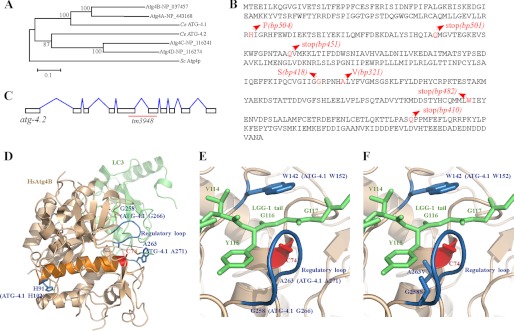 FIGURE 2.