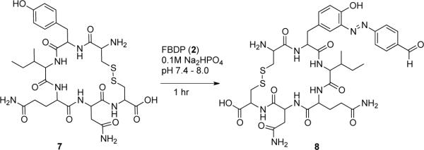 Scheme 4