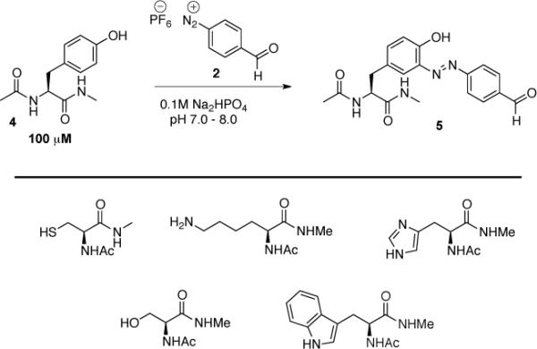 Scheme 3