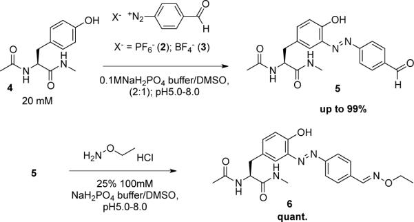 Scheme 2