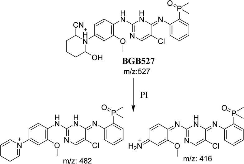 Scheme 8