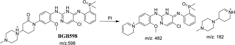 Scheme 5