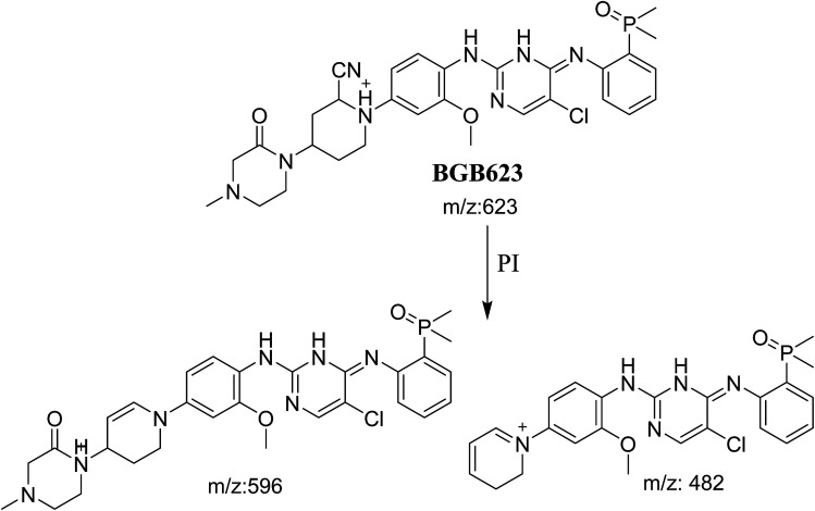 Scheme 7