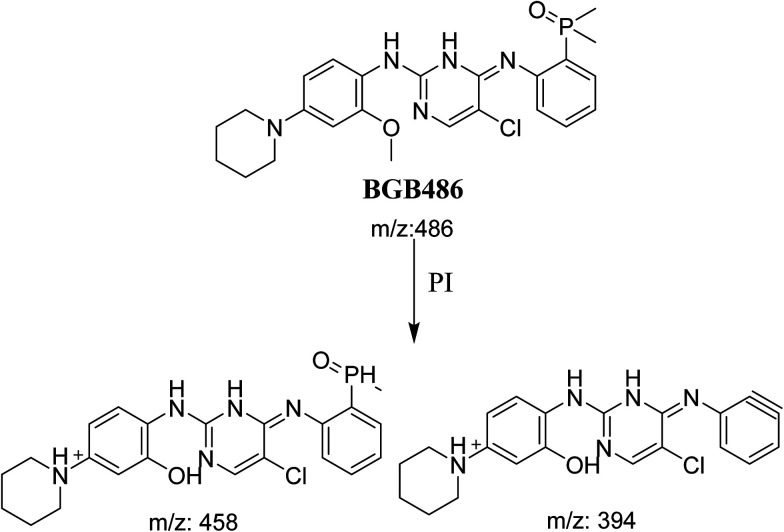 Scheme 4