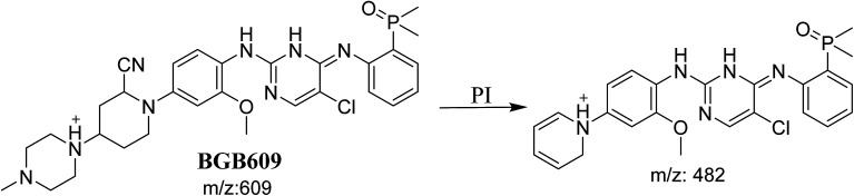 Scheme 6