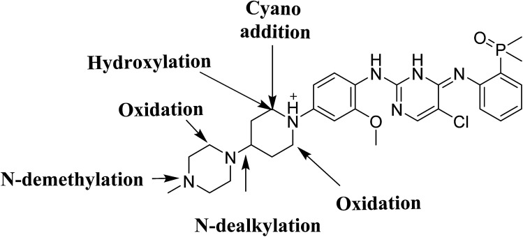 Fig. 10