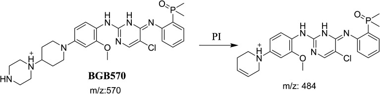 Scheme 2