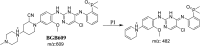 Scheme 6