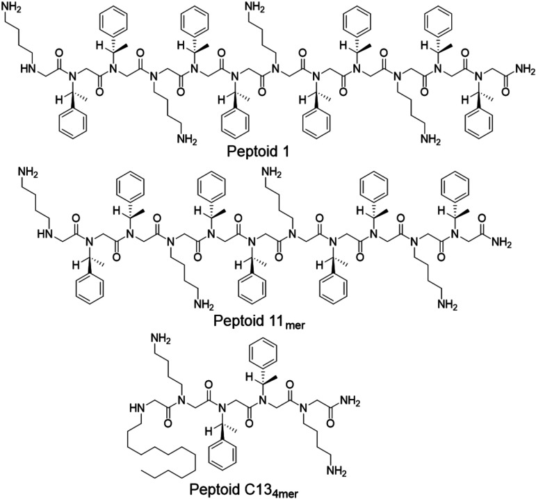 FIG 1