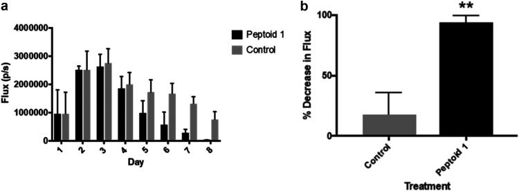 FIG 6