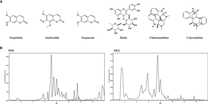 Figure 2