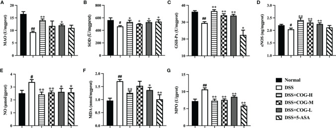 Figure 5