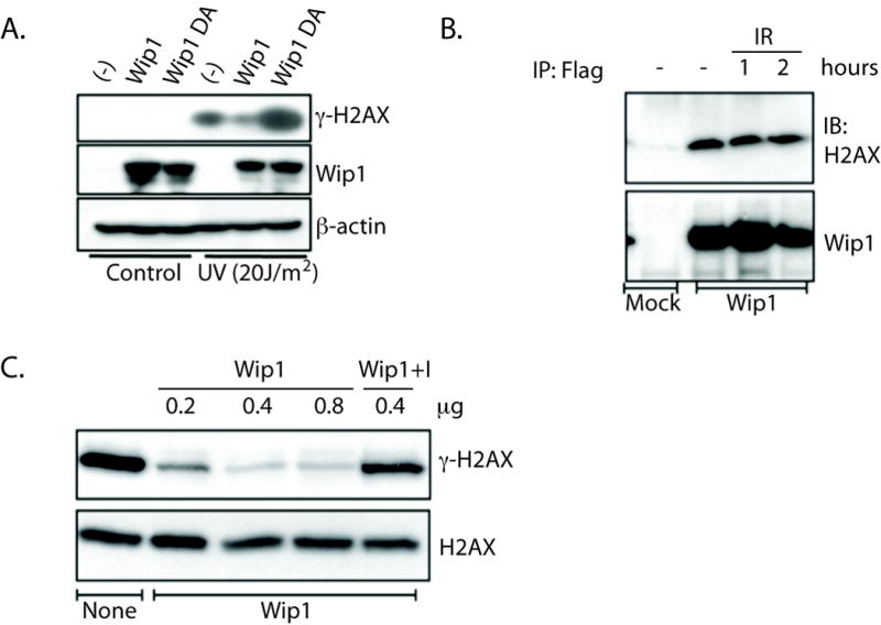 Figure 5