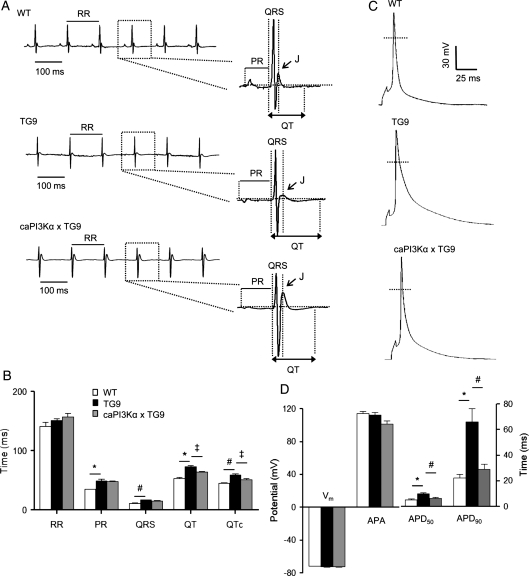 Figure 4