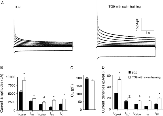 Figure 6