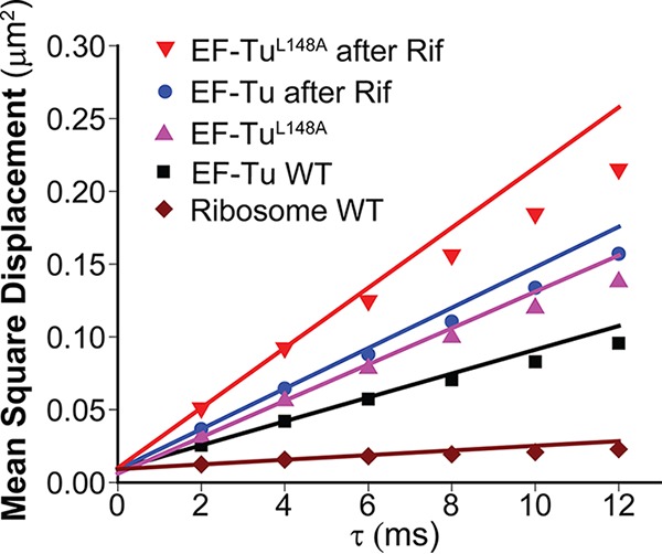 FIG 2 