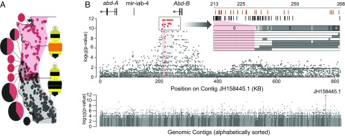 Fig. 2.