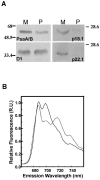 FIG. 10.