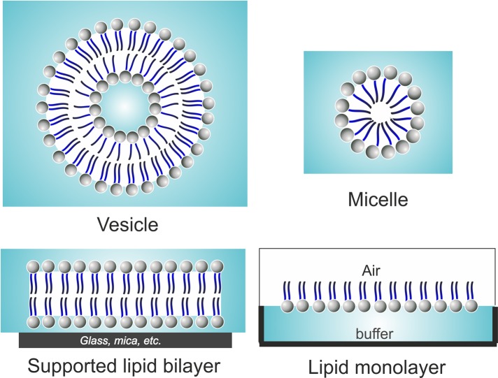 FIGURE 2: