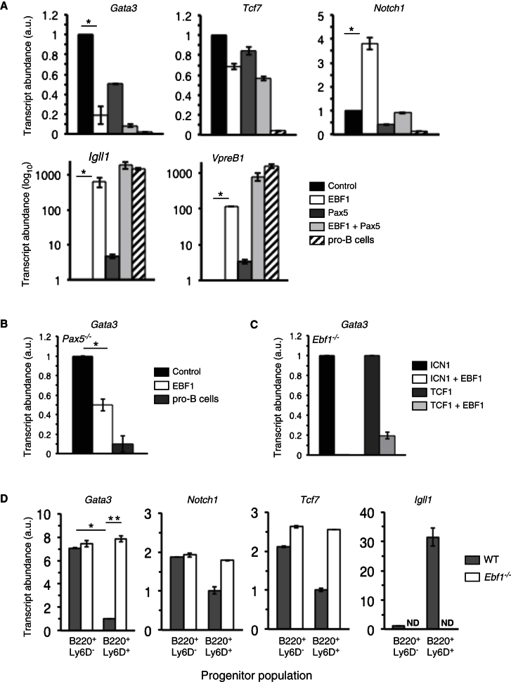 Figure 3