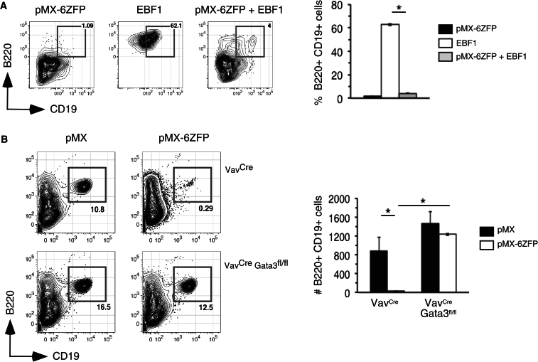 Figure 6