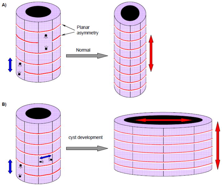 Fig 5