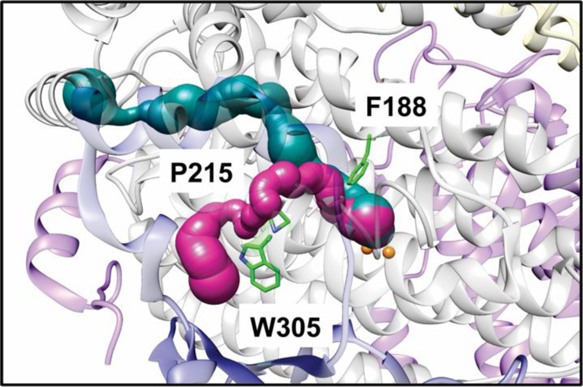 Fig. 8