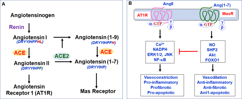 Fig. 2