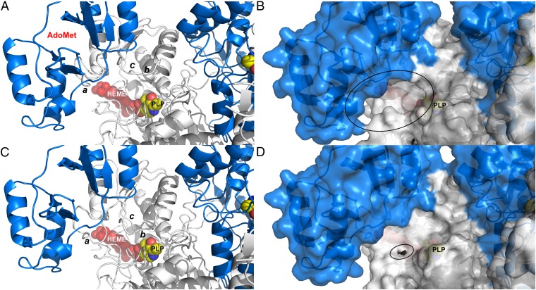 Fig. 6.