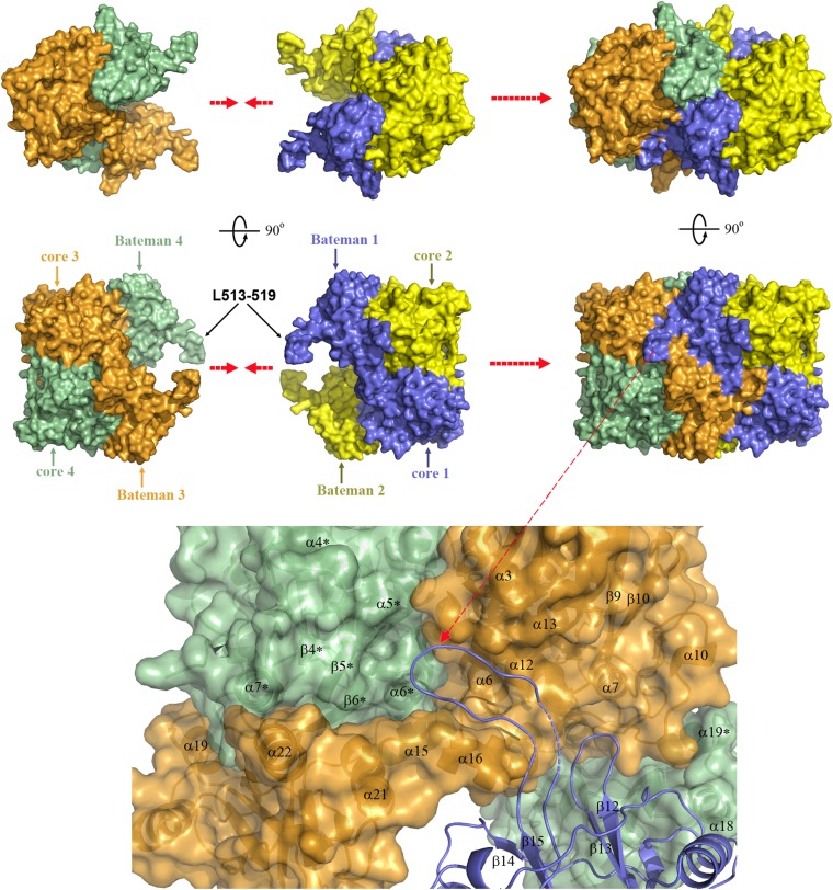 Fig. 7.