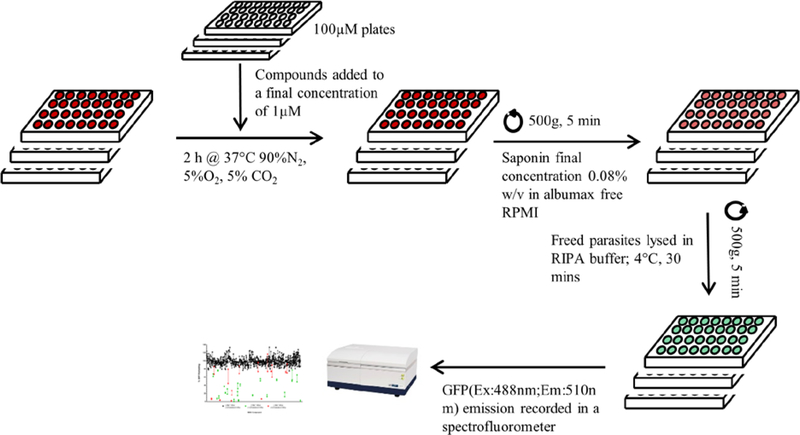 Figure 2: