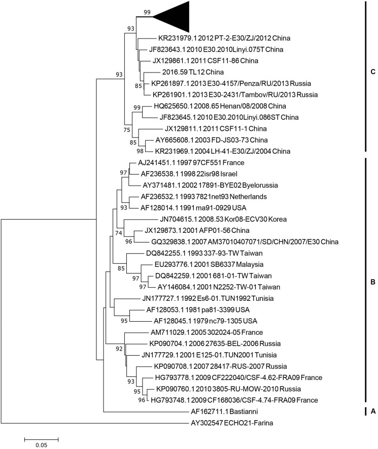 FIGURE 3