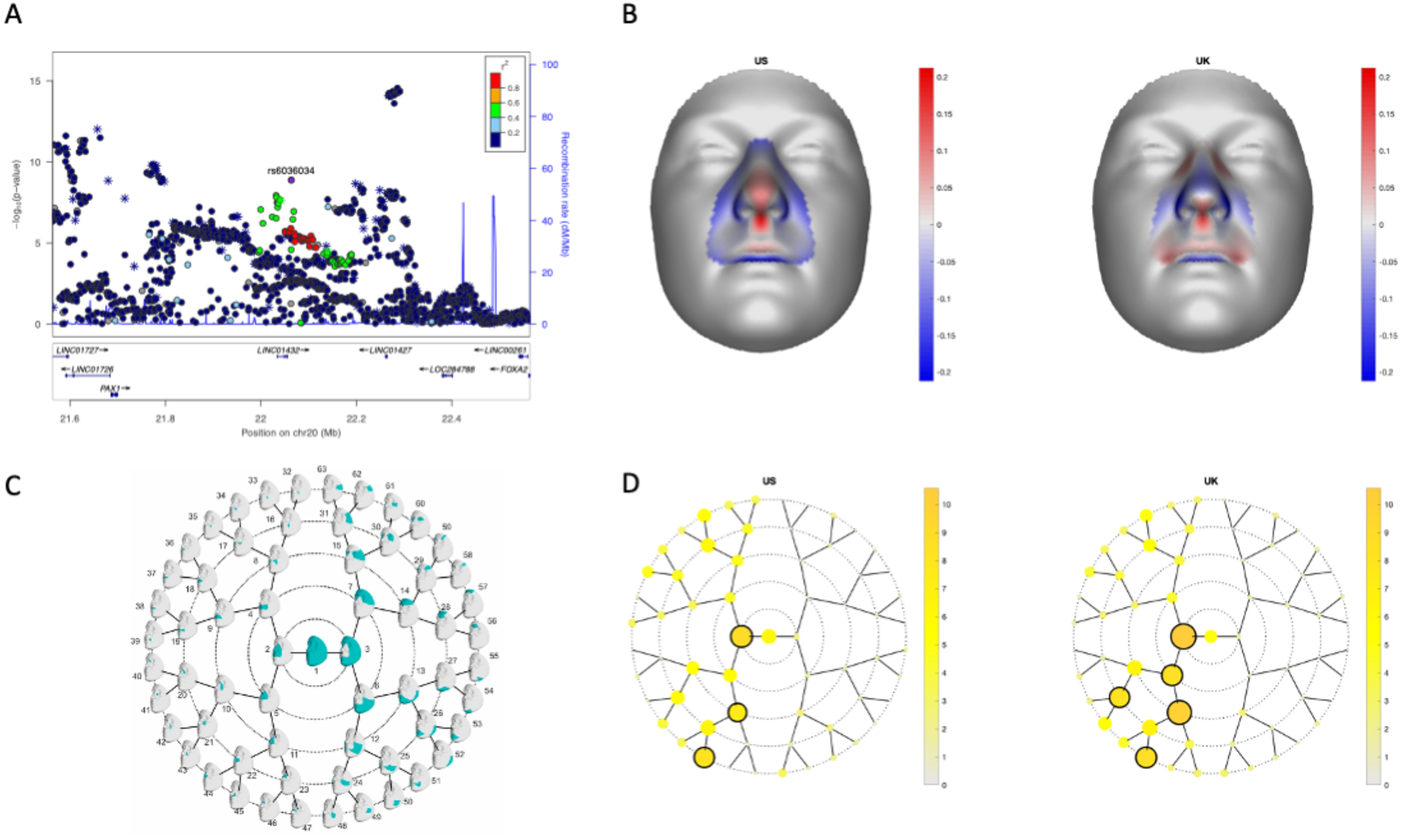 Figure 5: