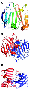 Figure  5.