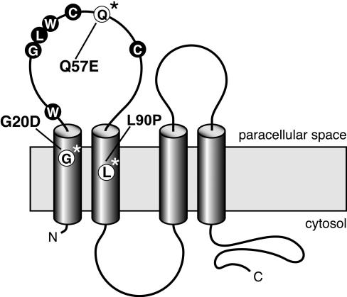 Figure  3. 