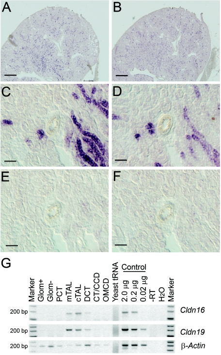 Figure  6. 