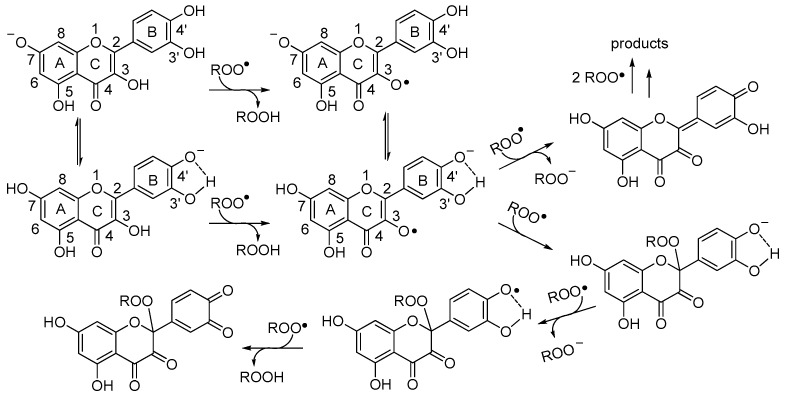 Scheme 4