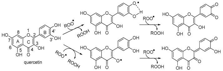 Scheme 3