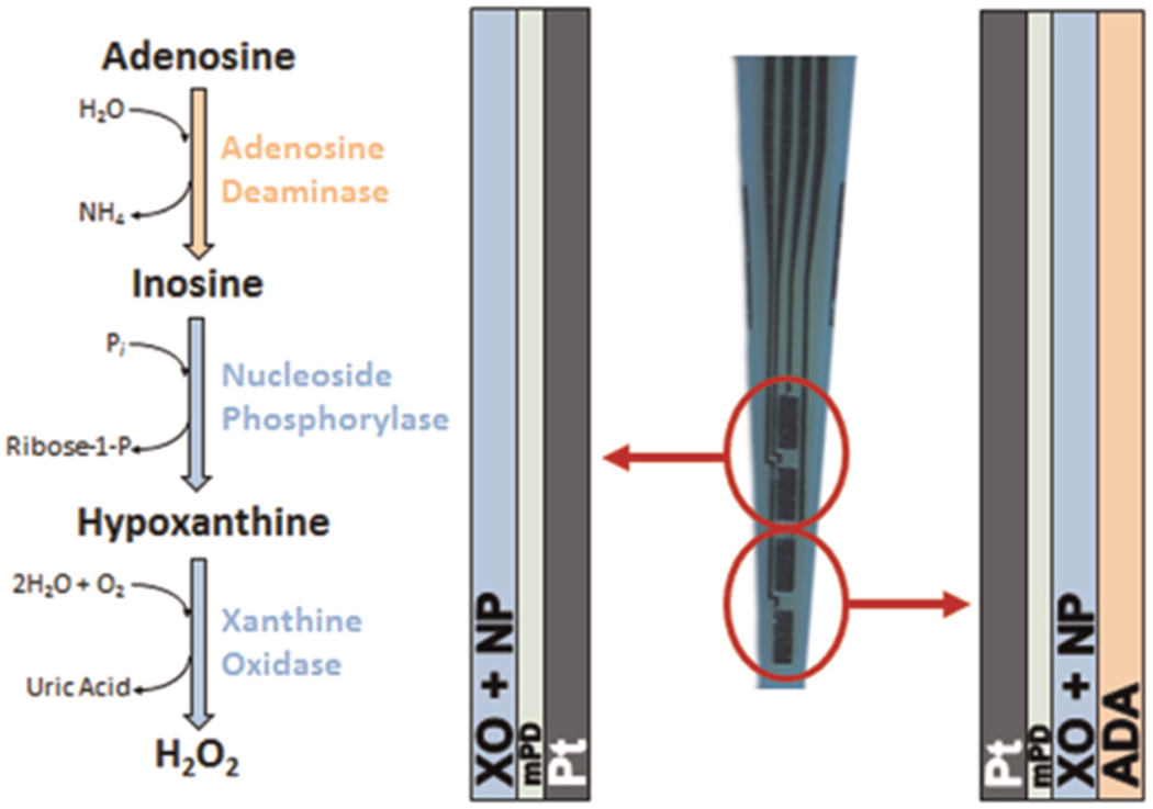 Fig. 1.