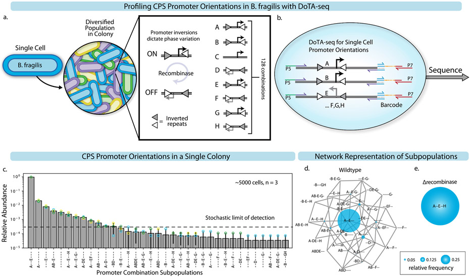 Extended Data Fig. 9 ∣