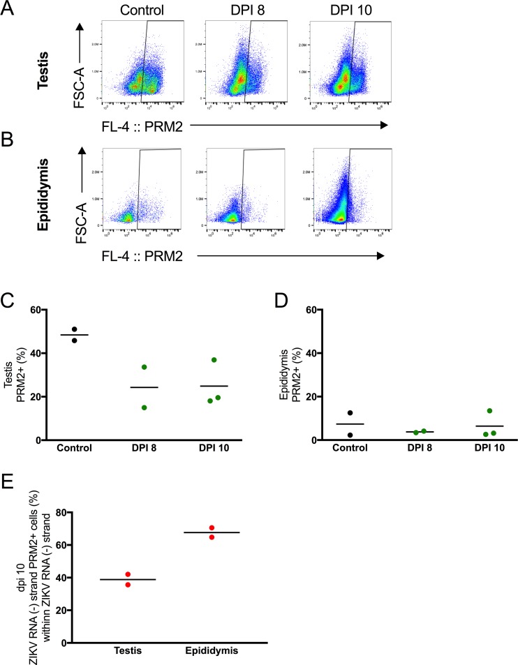 Fig 9