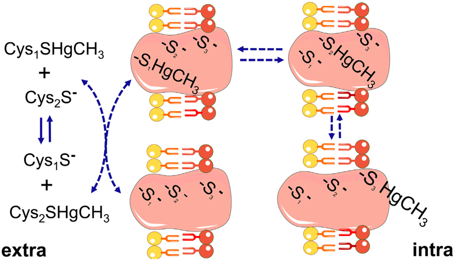 Fig. 1.