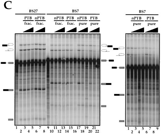 FIG. 7