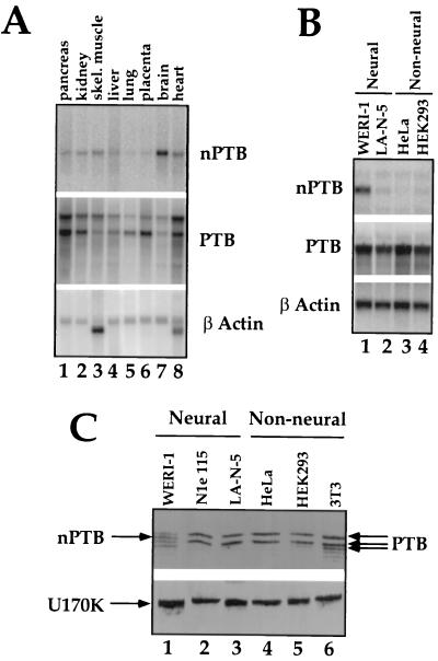 FIG. 6