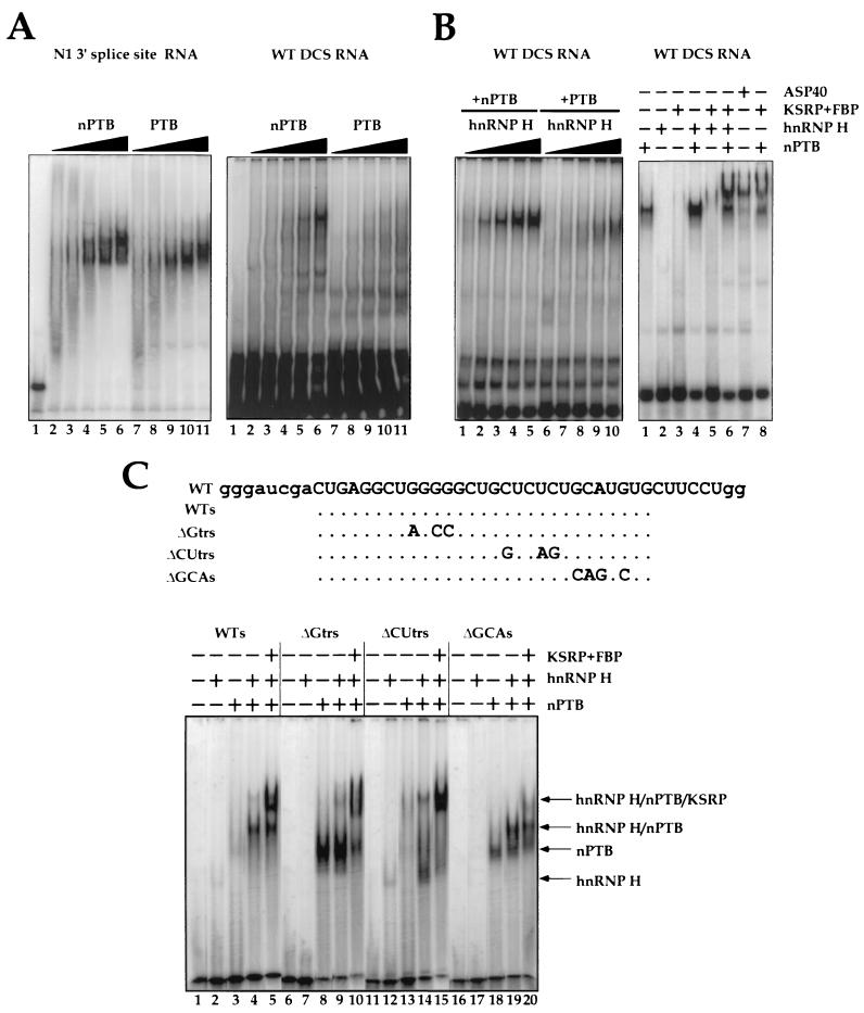 FIG. 8