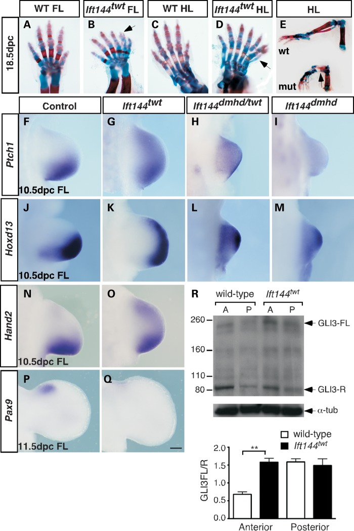 Figure 6.